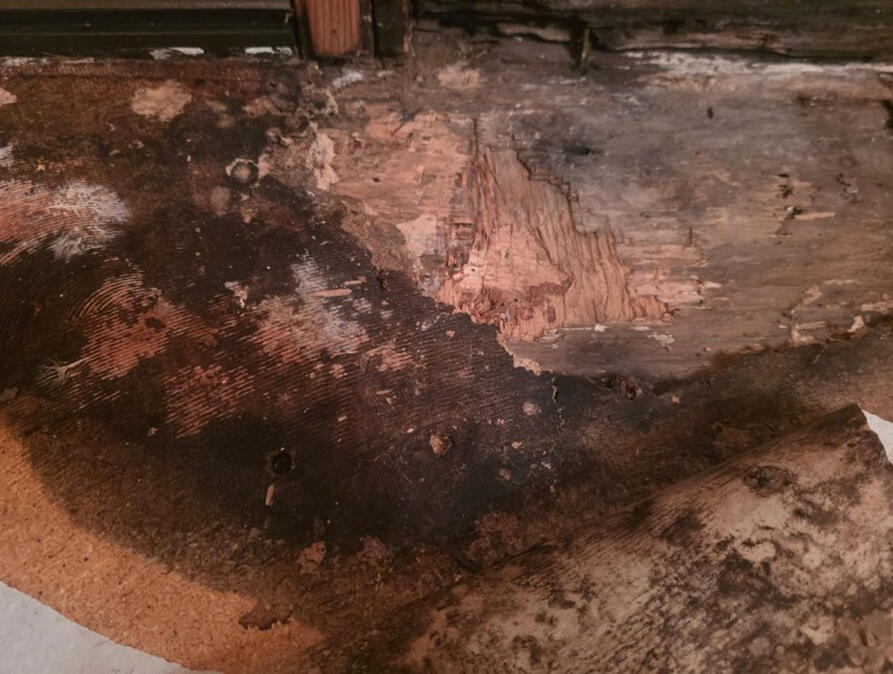 Moisture damage